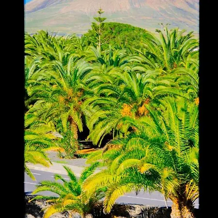 דירה La Casa Azul *